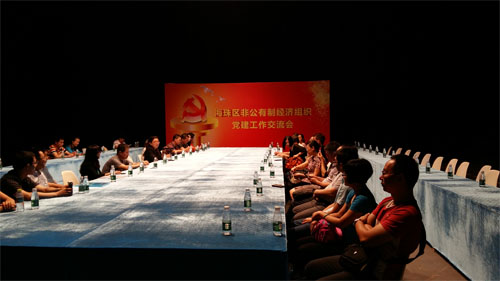 我司黨支部書(shū)記出席海珠區非公有制經(jīng)濟組織黨建工作交流會(huì )