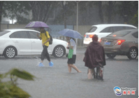 暴雨來(lái)襲 親們~請注意交通安全，別急！
